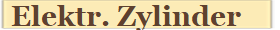 Elektr. Zylinder